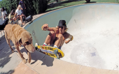 Jay Adams