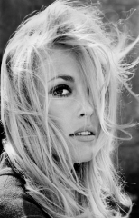 Sharon Tate