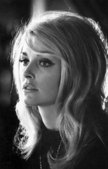 Sharon Tate