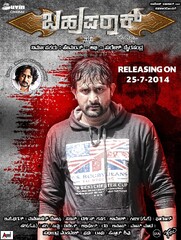 Bahuparaak (2014) Movie