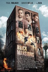 Brick Mansions (2014) Movie