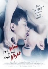 Red Wine in the Dark Night (2015) Movie